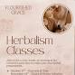 Herbalism at The Orchard - Winter Wellness event image