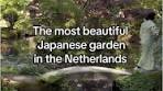 Explore the Beautiful Japanese Garden in The Hague - TikTok