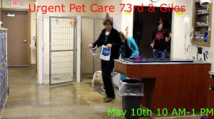 Best care pet hospital west is a full service veterinary care facility serving the omaha/millard area. Urgent Pet Care Omaha 1 Year Anniversary Pet Care 1 Year Anniversary Pets