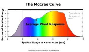 light spectrum for plants riverfarenh com