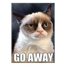 Grumpy Cat Go Away Magnet Funny Cat Memes Grumpy Cat Youtube Cats It is funny and cute!
