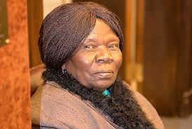 Court Celebrates New Citizens, in Living Color