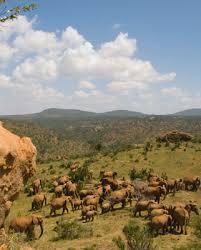 Jun 22, 2021 · laikipia north is experiencing a dry period after rains failed in the region and farmers upstream have been accused of water abstraction for irrigation, rendering the rivers downstream to dry. Top 10 Luxury Laikipia Lodges The Luxury Safari Company
