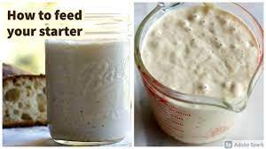 Starter is fed with a ratio of the original ferment to water and flour. How To Feed Your Sourdough Starter Youtube