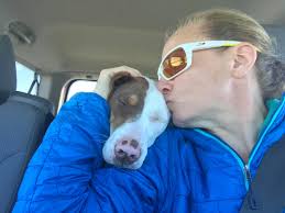 New foster hound in Colorado