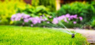 Large areas can benefit from the use of a quality rectangular sprinkler. How Often Should I Water My Lawn In The Summer