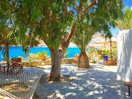 Ο ανωμερίτης (ανατολικά) και ο βορνιώτης (βόρεια). Only Yours Mykonos Paragka Enhmerwmenes Times Gia To 2021