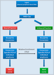 Genes Free Full Text Evaluation Of Methylation