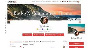 BuddyX Review - Theme for Social Networks, BuddyPress and BuddyBoss