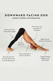 Downward Facing Dog Yoga Meditation Downward Facing Dog Yoga Poses Downward Dog Yoga