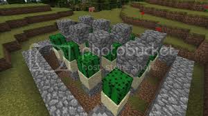 Hope you enjoyed learning how to make an easy 1.16 zero tick cactus farm in minecraft bedrock edition!!! Tutorial Automatic Cactus Farm Mcx360 Discussion Minecraft Xbox 360 Edition Minecraft Editions Minecraft Forum Minecraft Forum