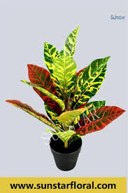 Maybe you would like to learn more about one of these? China Plastic Sage Leave Fake Flower Artificial Plant With Wooden Pot For Home Decoration 51109 China Silk Flowers And Artificial Tree Price