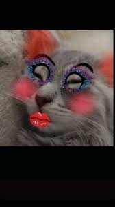 Samia Diaz (samia1409)