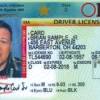 Real id compliant driver licenses and identification credentials have a gold circle with a star in the right corner of the license to indicate it is real id compliant. 1