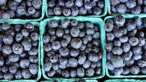 How To Store Blueberries So They Stay Fresh Epicurious