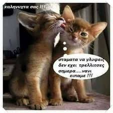 İki meme de, meme ucu da birbirinden farklıdır ancak adet döngüsünün yumurtlama evresinde salgılanan hormonlar nedeniyle 14. Facebook