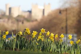 Mar 20, 2018 · the first day of spring, then and now. Spring Equinox 2019 7 Facts About The First Day Of Spring Mirror Online