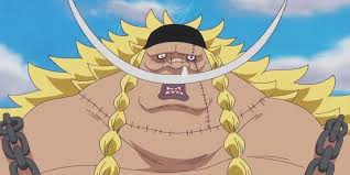 The End Of The Warlord System - One Piece