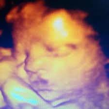 amy carty (@carty_amy)