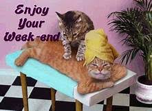 A Lucinda Book Review How To Give Your Cat A Massage