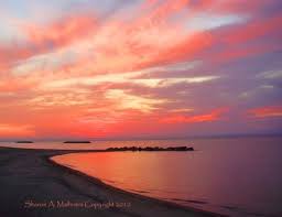 Beach Glass Found On The Beach Yelp Presque Isle State Park Dream Vacation Spots Presque Isle