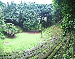 Image result for Afrostyrax kamerunensis