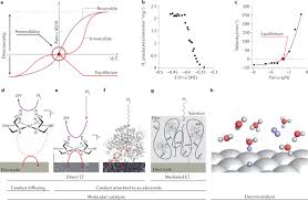 Check spelling or type a new query. Reversible Catalysis Nature Reviews Chemistry
