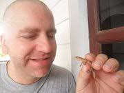 Geisha in Rivalry by Nagai Kafū