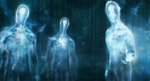 Image result for ascended alien species
