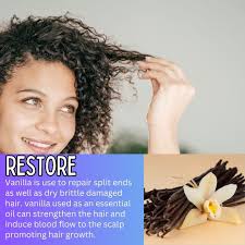 Rice Water Hair Growth Spray: Aloe Vera Leave-in Conditioner for Natural  Hair