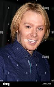 Legno di agrifoglio immagini e fotografie stock ad alta risoluzione