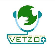 Centro Veterinario VetZoo
