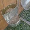 Diy hay rack quails : Https Encrypted Tbn0 Gstatic Com Images Q Tbn And9gcsgqeg3gced4vi89mzmm41xwlbnlba8pkt2uduboqwsydeknb7i Usqp Cau