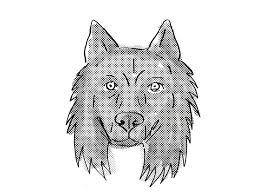 Belgian Sheepdog Dog Breed Cartoon Retro Drawing On Behance How to create every drawing you will make depends on the sketch phase. behance