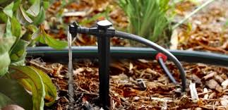 Check spelling or type a new query. Principe De L Arrosage Goutte A Goutte Blog Arrosage Du Jardin