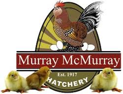 We did not find results for: Murray Mcmurray Hatchery Cool Tools