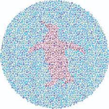 How can one identify if a child is colour blind? Color Blind Test For Kids