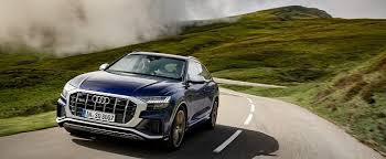 Image result for Navarra Blue 2022 SQ8