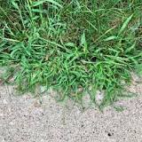 Image result