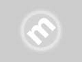 How to use identifying mark/feature in a sentence. Identifying Features Reviews Metacritic
