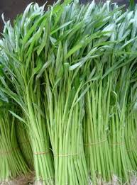 Thai Water Spinach Vegetable Seeds In 2021 Water Spinach Vegetable Seed Chinese Watercress