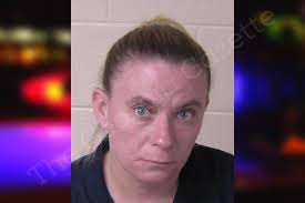 Sheree Fairchild — Walker County Jail Bookings