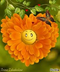 You wish this family well, but you're grateful to see the supposedly, another happy day is meant to be a dark comedy. Good Morning Have A Happy Day Picmix