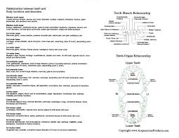Interactive Tooth Chart Long Island Holistic Dentist
