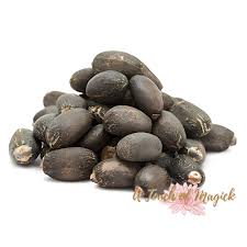 Image result for Jatropha curcas