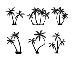 .ai or.eps for adobe illustrator. Free Palm Tree Silhouette Vector Vector Art Graphics Freevector Com