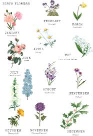 Maybe you would like to learn more about one of these? Google Image Result For Https Images Squarespace Cdn Com Content V1 5bcef5baaadd34390551bf66 154126422 Birth Flowers Birth Flower Tattoos Birth Month Flowers