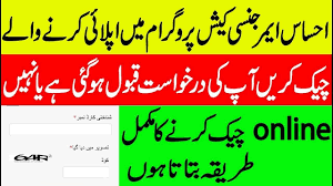 How To Check Ehsaas Program Application Status Online In 2020 Cash Program Online Teaching