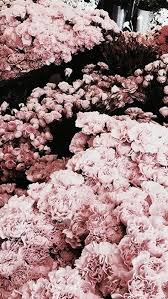 Rose Gold Tumblr Rose Gold Wallpaper Iphone Gold Wallpaper Iphone Rose Gold Wallpaper