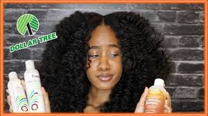 Can't find it at your dollar tree? Trying Dollar Tree Hair Products I Cant Believe This Happened Youtube